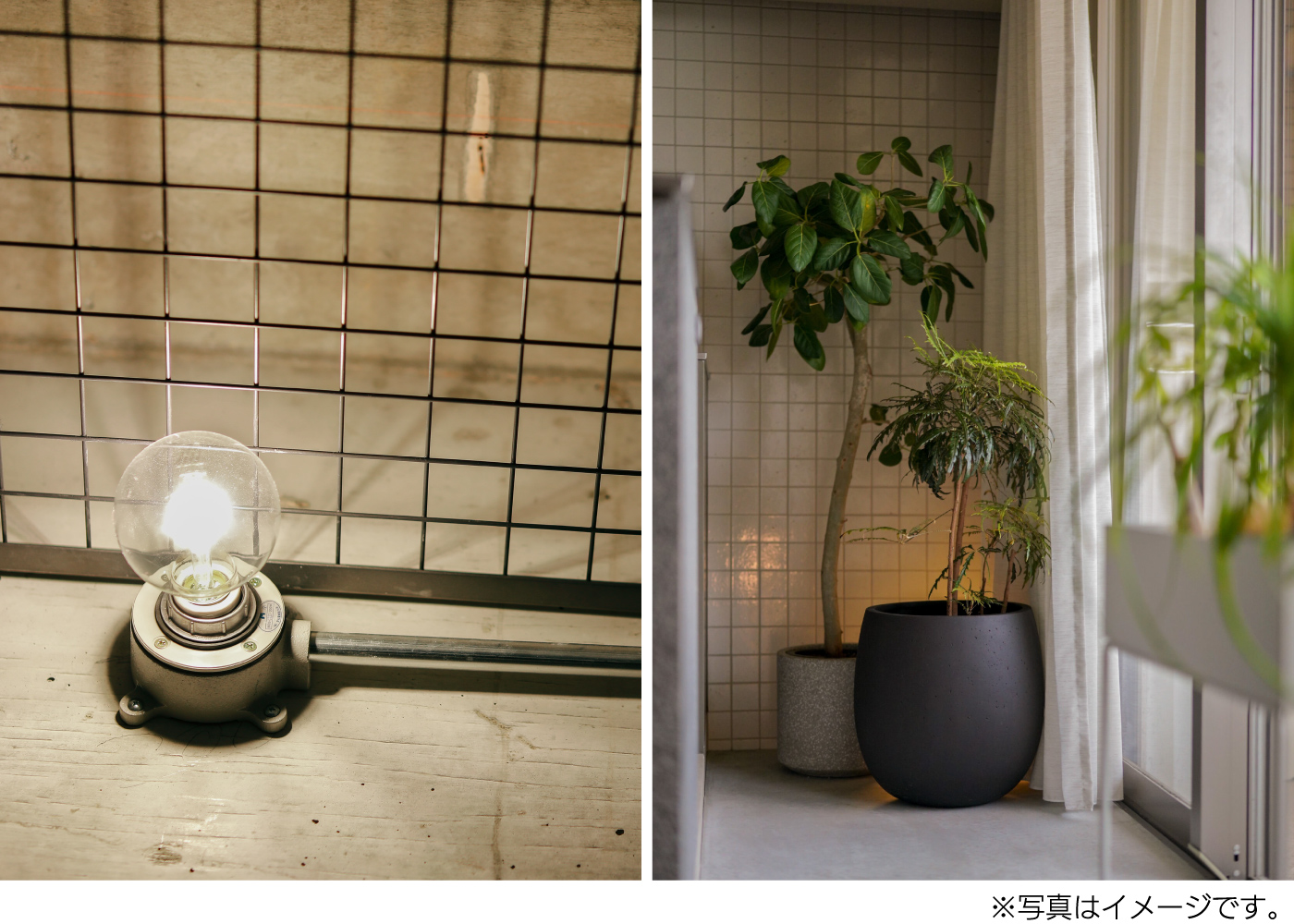 イメージ-photo01